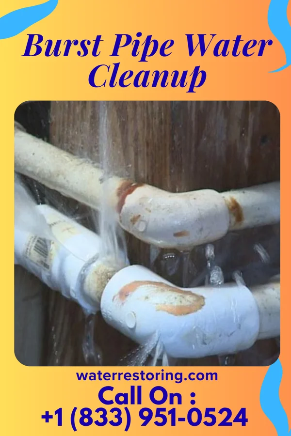 Burst Pipe Water Cleanup in Bay City, WI