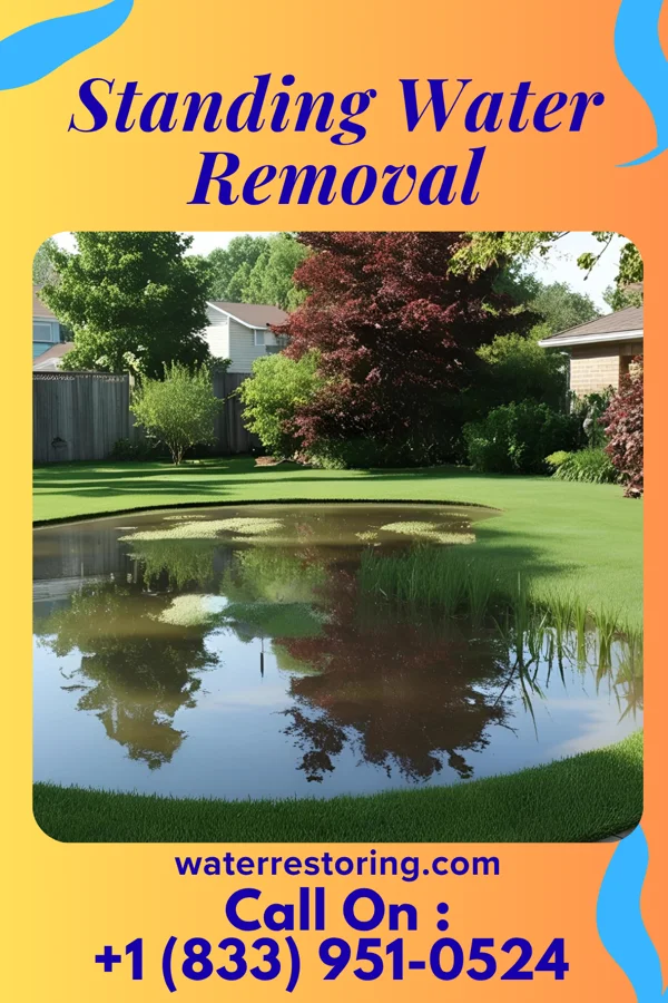 Standing Water Removal in Bay City, WI
